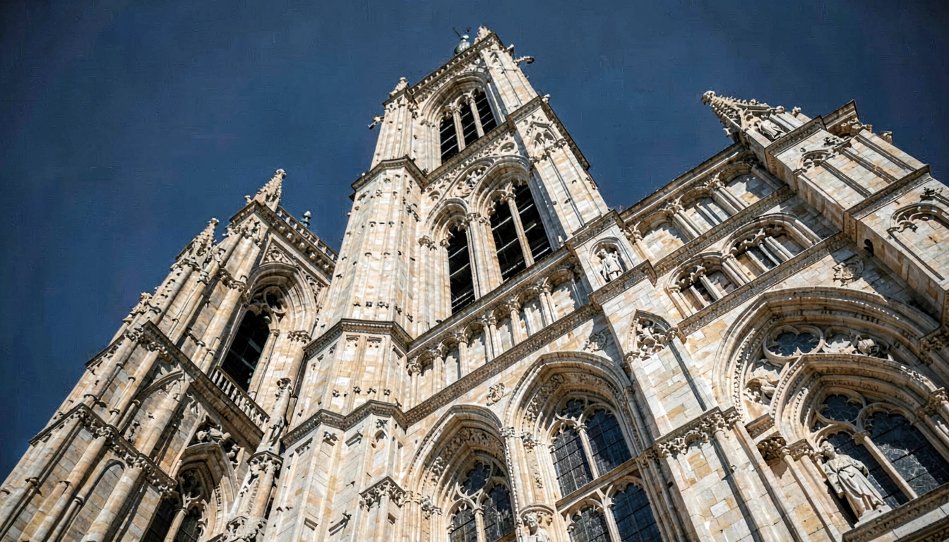 Free Tour em Toulouse - foto 4